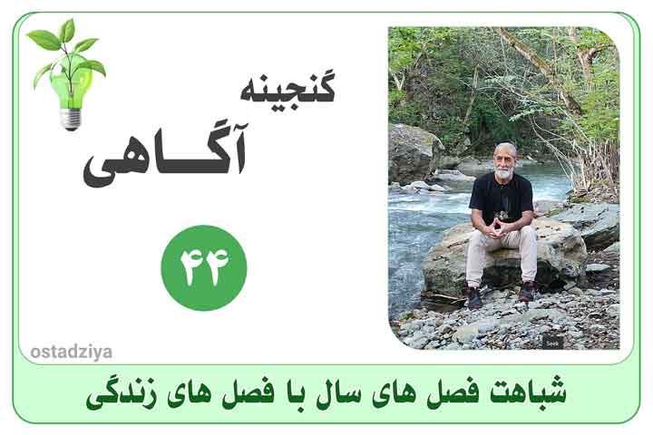 شباهت فصل‌های سال با فصل‌های زندگی