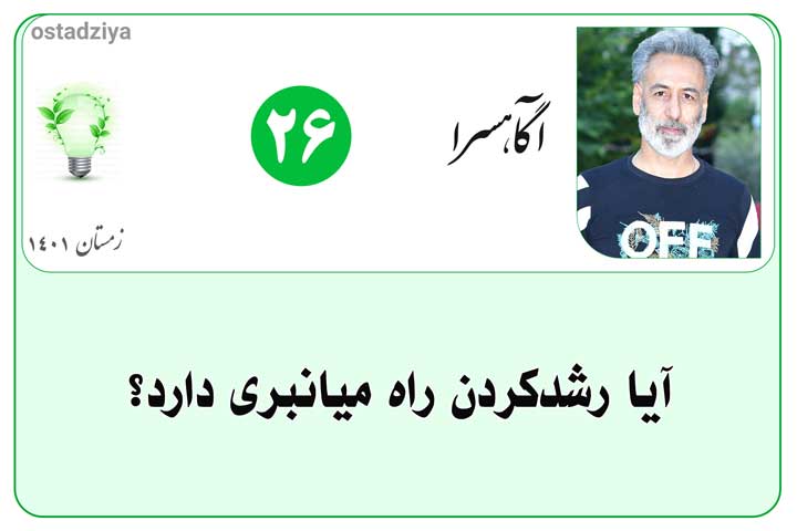 آیا رشد کردن راه میانبری دارد؟